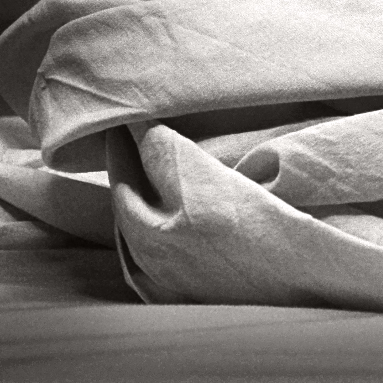 Oι εκλογές του Δικτύου συγγραφέων