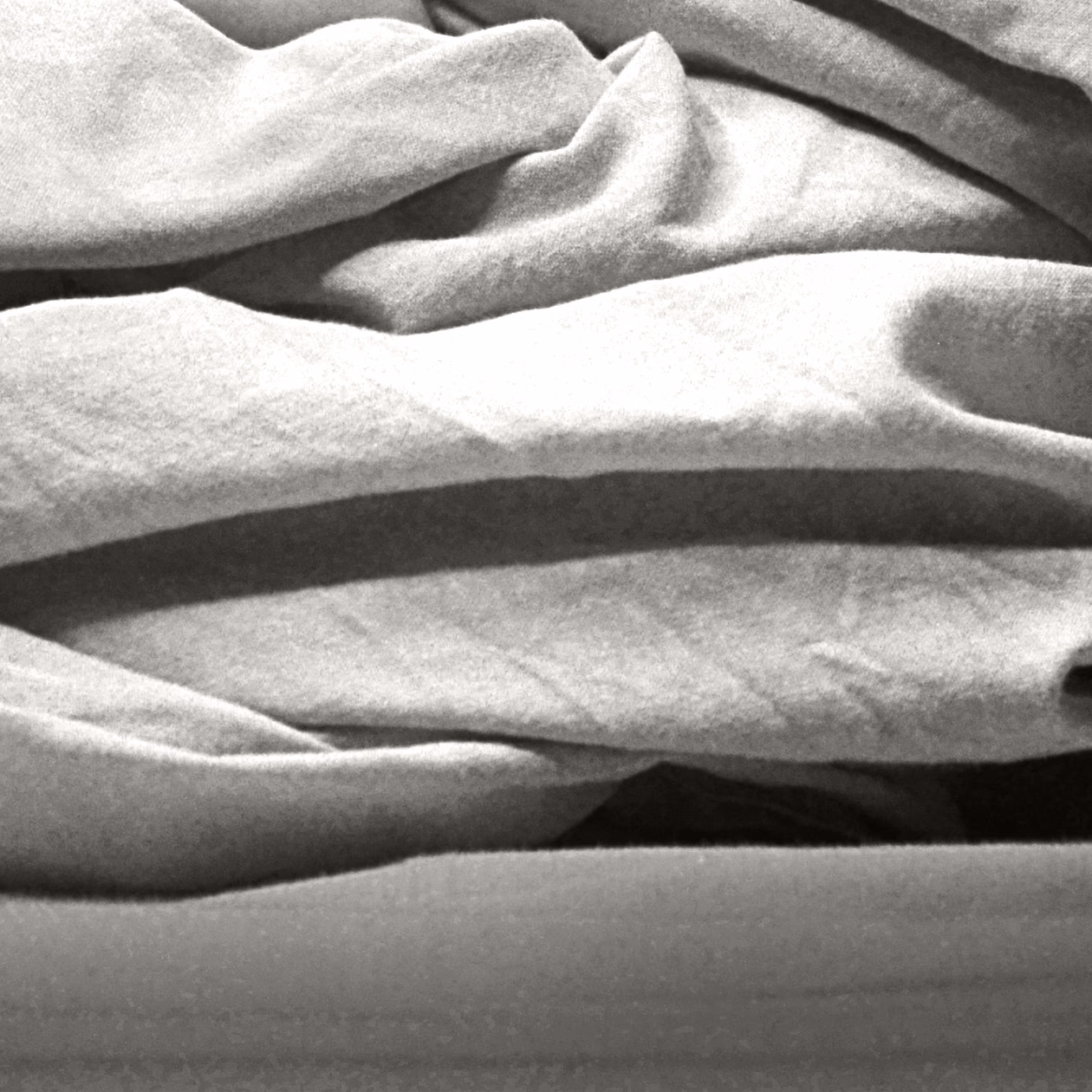 Την Κυριακή 28 Σεπτεμβρίου ολοκληρώθηκαν οι αρχαιρεσίες για την εκλογή του ΔΣ του σωματείου “Δίκτυο Συγγραφέων”.