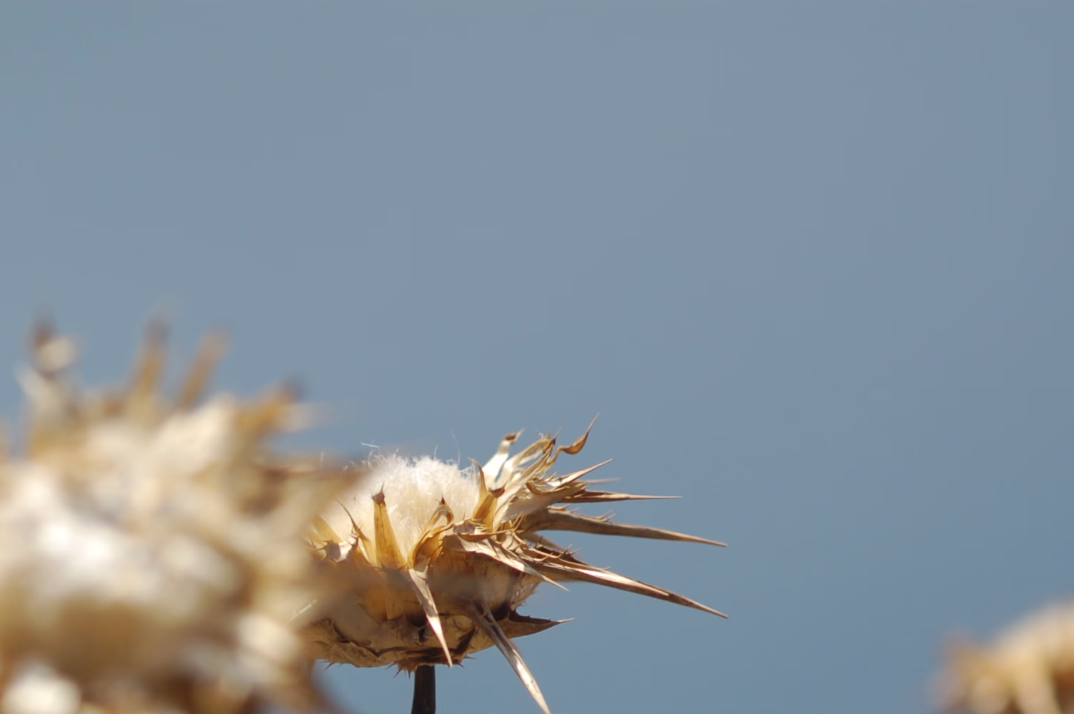 ΔΕΛΤΙΟ ΕΝΗΜΕΡΩΣΗΣ