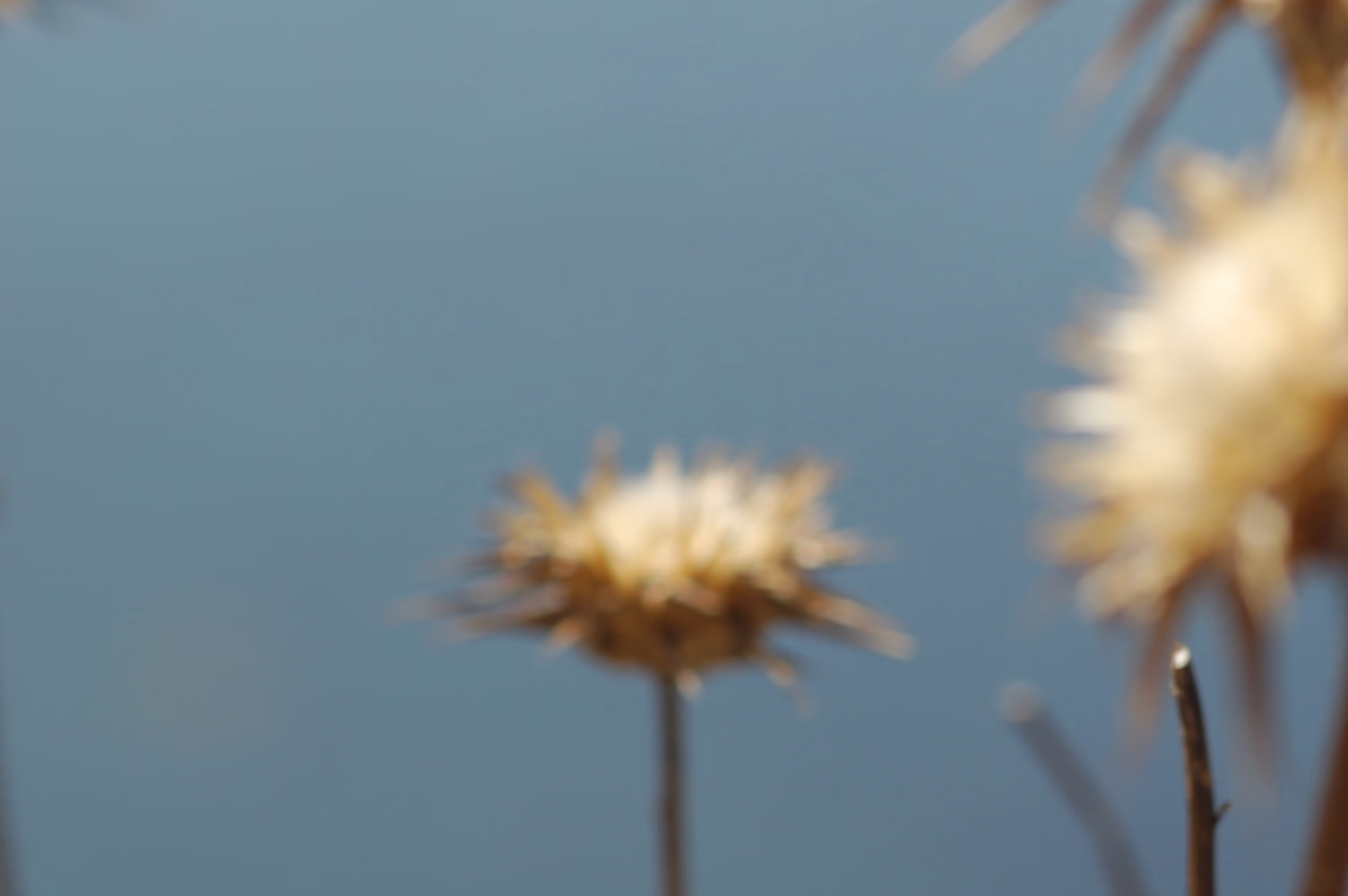 Πέμπτη 9 Οκτωβρίου 2025, Συνέντευξη Τύπου,στον πολυχώρο Ρομάντσο