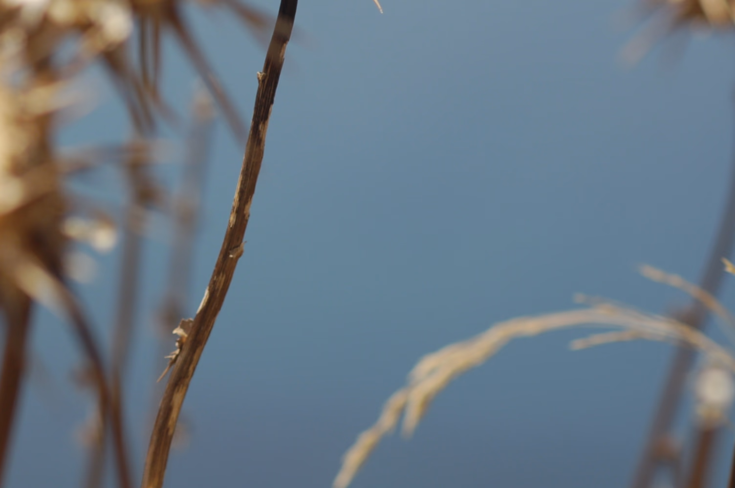H πρώτη Γενική Συνέλευση του Δικτύου Συγγραφέων!