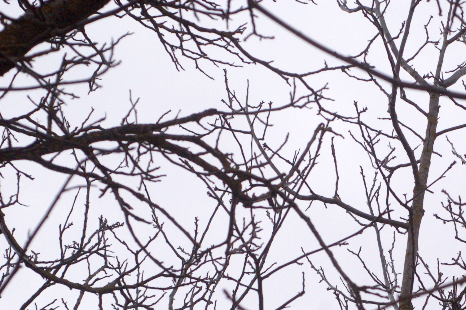 Με μεγάλη επιτυχία πραγματοποιήθηκε η πρώτη εκδήλωση του Παρατηρητηρίου